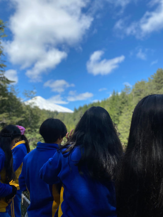 Programa 1:  Fomenta lectura y aventura