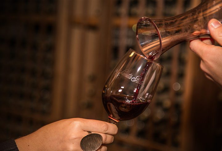 Tour Selección Viña Santa Rita 🍷 | 10 de enero 2025 + Transporte desde Batuco