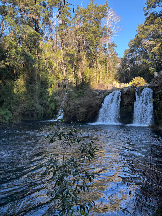 Programa 3: Canopy, Naturaleza y Ojos del Caburgua