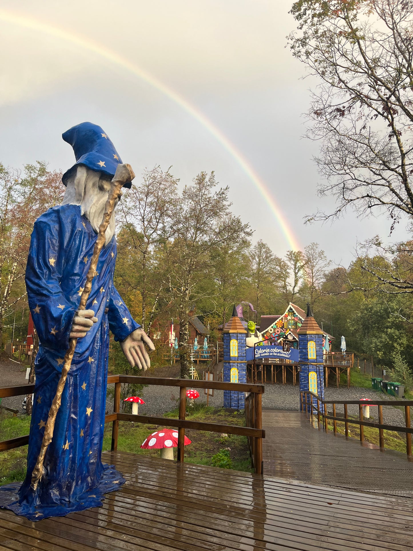 Programa 1:  Fomenta lectura y aventura