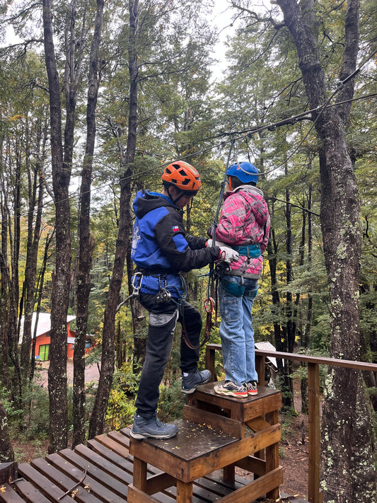 Programa 2: Canopy Pucón