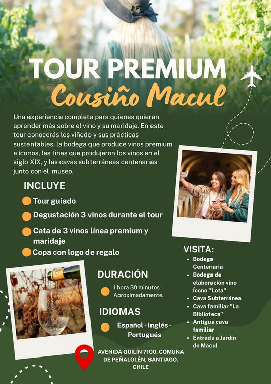 Tour Premium Viña Cousiño macul