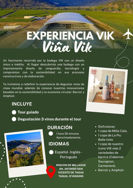 Tour Experiencia  Vik